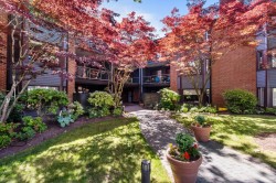 313-15300 17 Avenue Surrey, BC V4A 8Y6