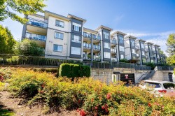 115-2943 Nelson Place Abbotsford, BC V2S 0C8