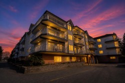 219-33535 King Road Abbotsford, BC V2S 6Z5