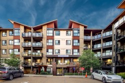 312-7809 209 Street Langley, BC V2Y 3N6