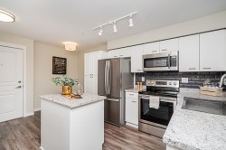 307-15210 Pacific Avenue White Rock, BC V4B 5L2