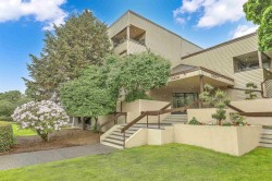 211-5294 204 St Street Langley, BC V3A 1Z1