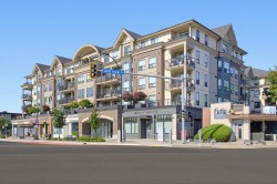 323-2493 Montrose Avenue Abbotsford, BC V2S 3T2
