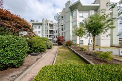 204-2585 Ware Street Abbotsford, BC V2S 3E2