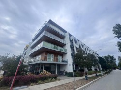 207A-8447 202 St Langley, BC V2Y 4K1