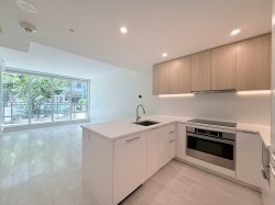 TH10-10388 133 Street Surrey, BC V3T 0R2