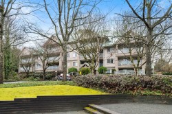 308-15140 29a Avenue Surrey, BC V4P 3B1