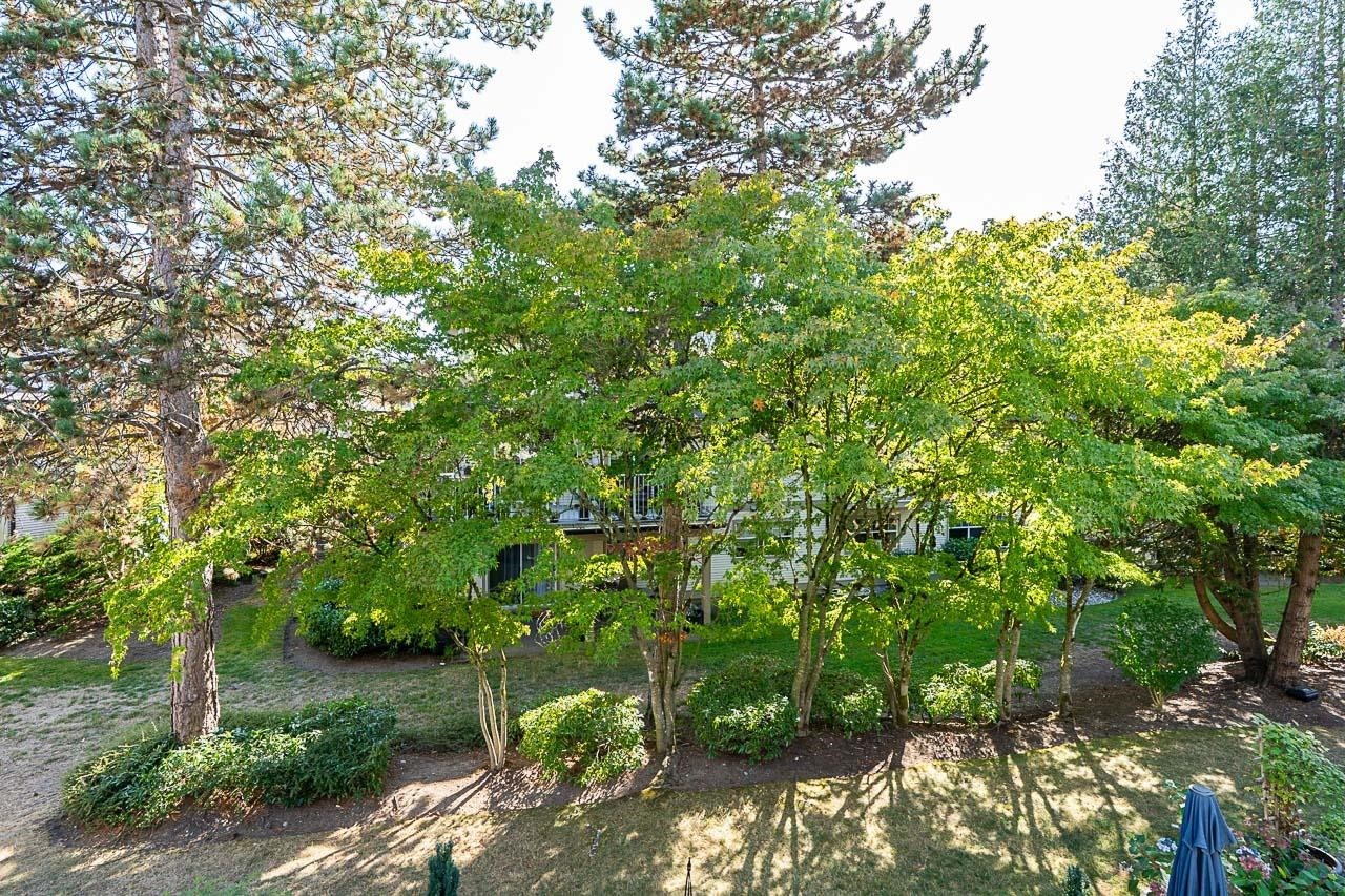 231-20391 96 Avenue, Surrey, BC