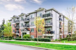 107-19530 65 Avenue Surrey, BC V4N 6M1