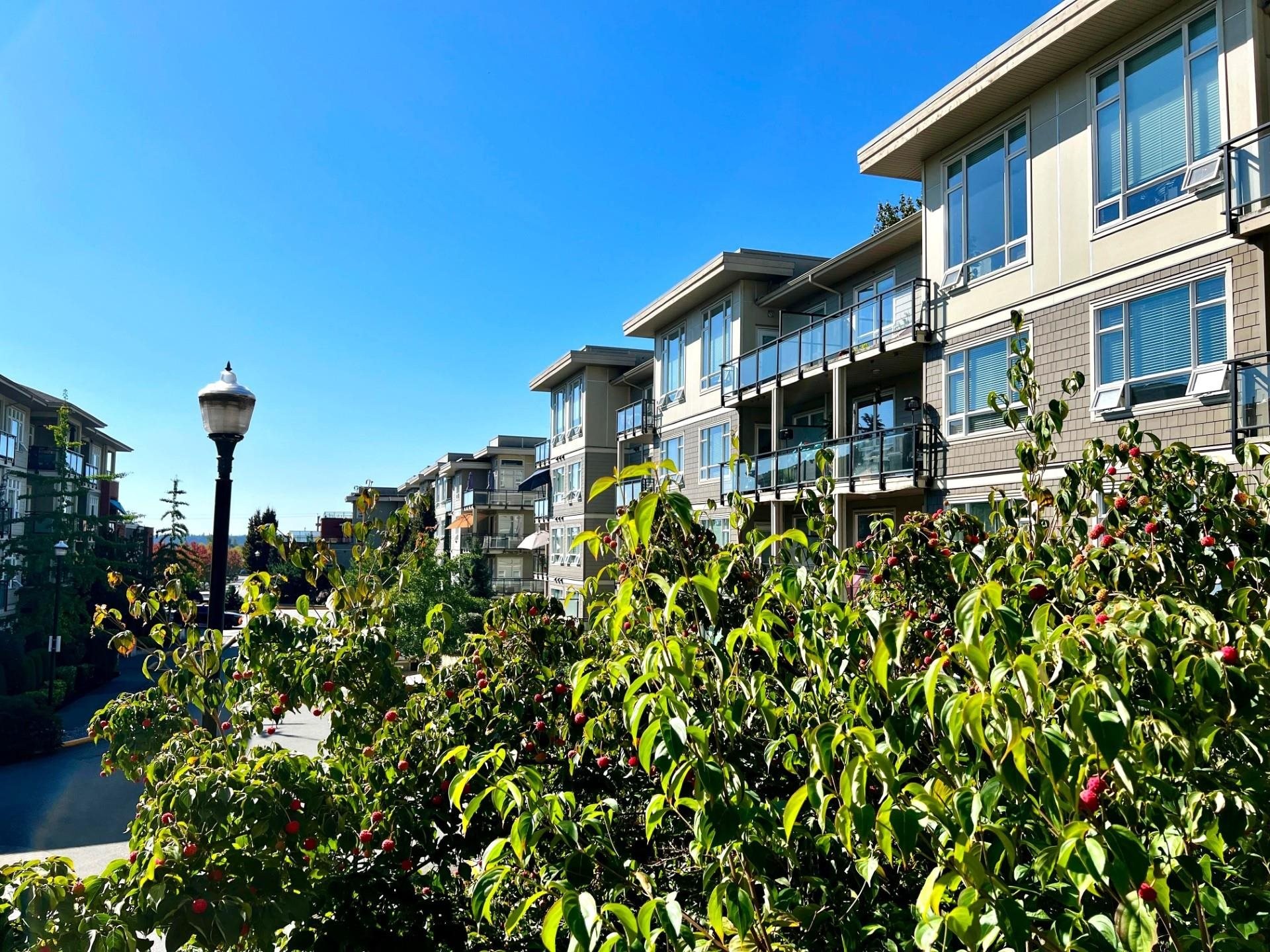 C202-20211 66 Avenue, Langley, BC