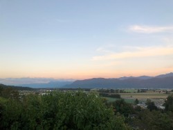 36042 Southridge Place Abbotsford, BC V3G 1E2