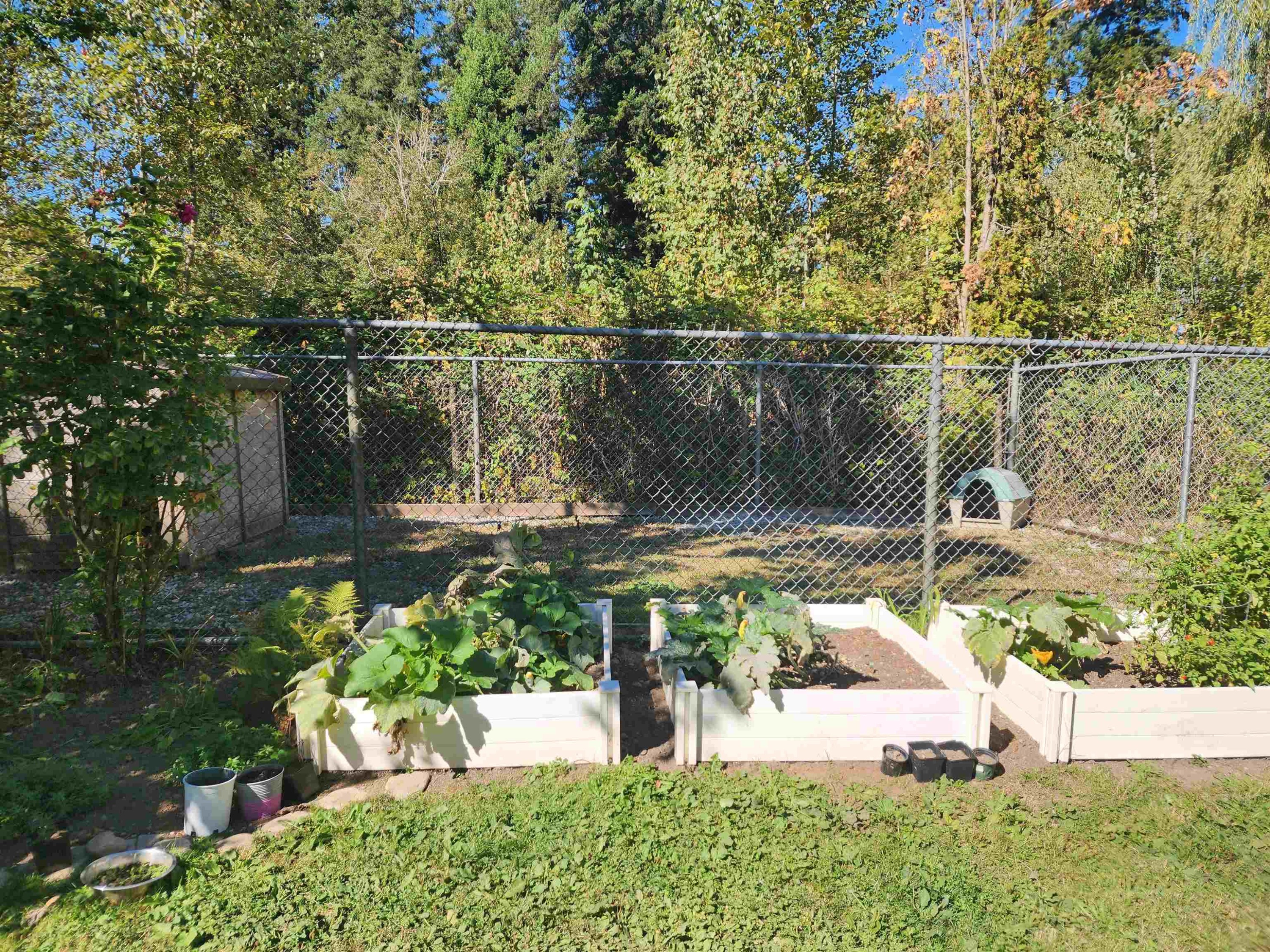 22931 Old Yale Road, Langley, BC