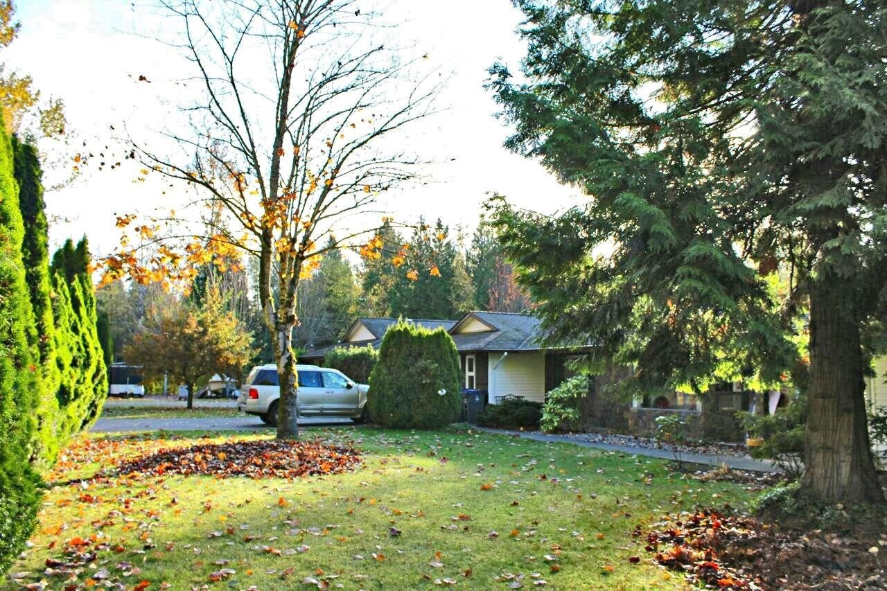 16354 18 Avenue, Surrey, BC