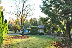 16354 18 Avenue Surrey, BC V3Z 9N2