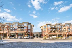 421-2970 King George Boulevard Surrey, BC V4P 0E6