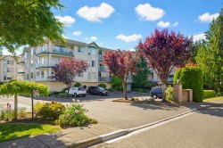 205-5360 205 Street Langley, BC V3A 7Y6