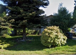 15087 Canary Drive Surrey, BC V3R 4V4