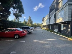 203-5664 200 Street Langley, BC V3A 1M8