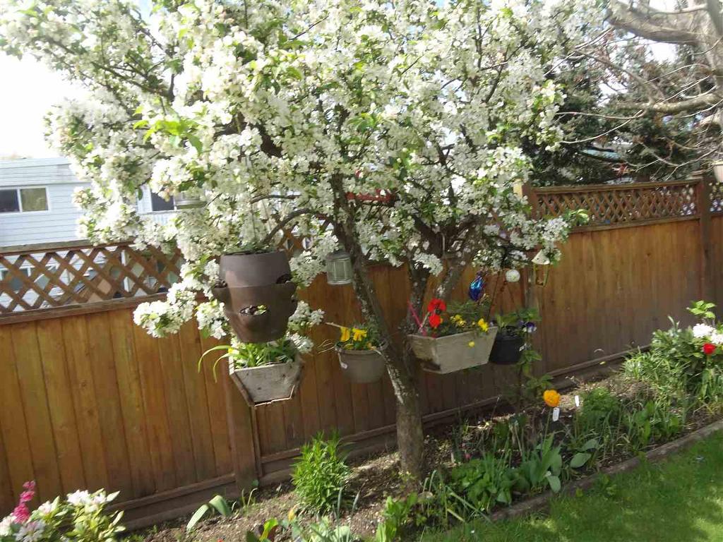 7280 15Th Avenue, Burnaby, BC