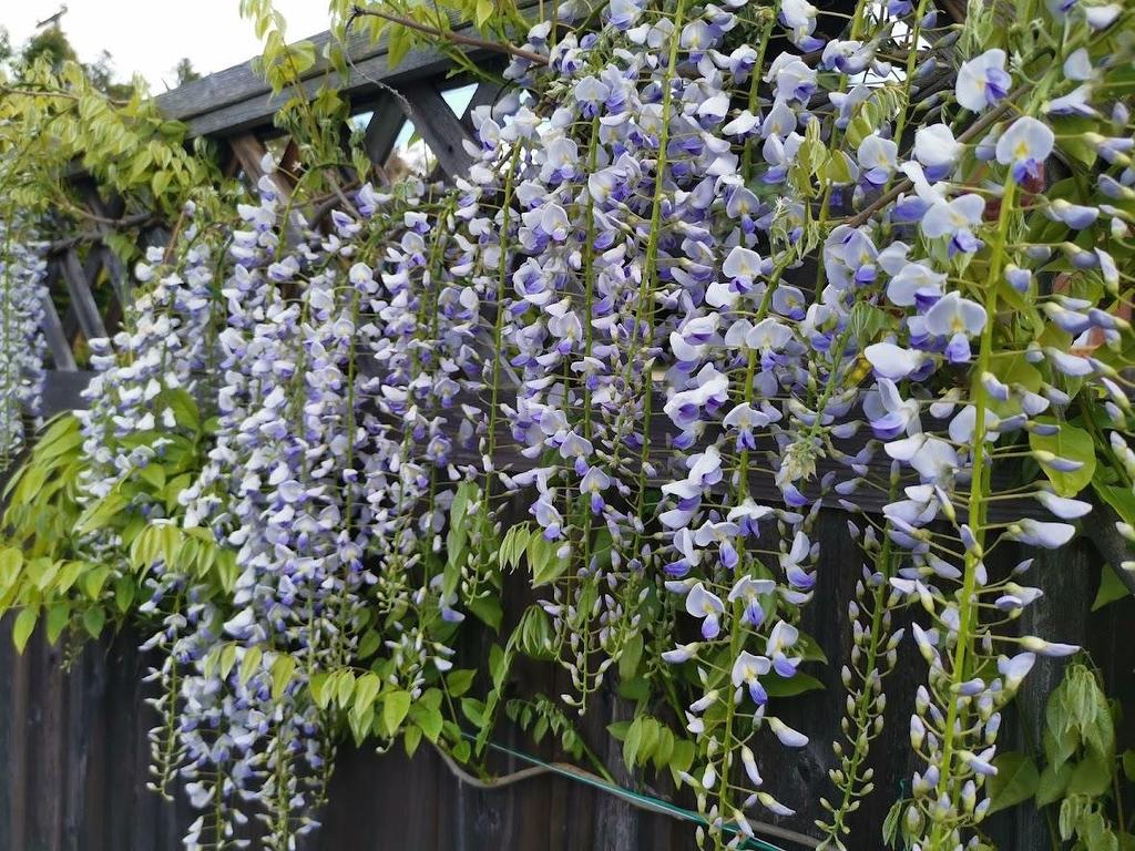 8640 No 2 Road, Richmond, BC