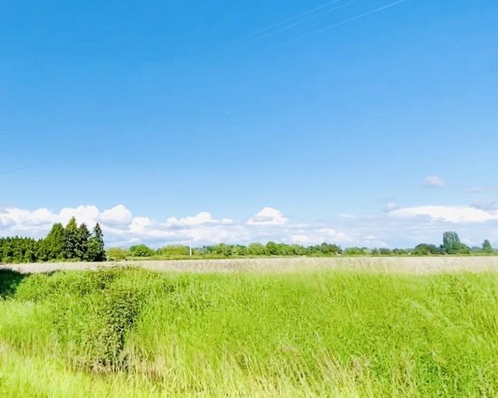 13091 No. 3 Road, Richmond, BC