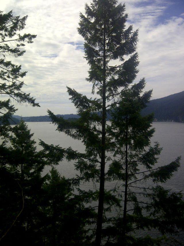 3 Indian Arm, Port Moody, BC