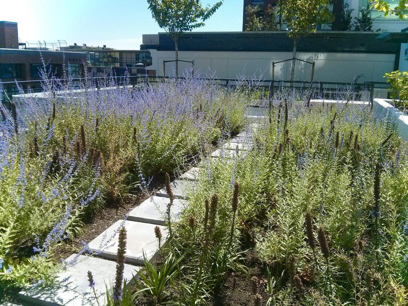 816-188 Keefer Street, Vancouver, BC