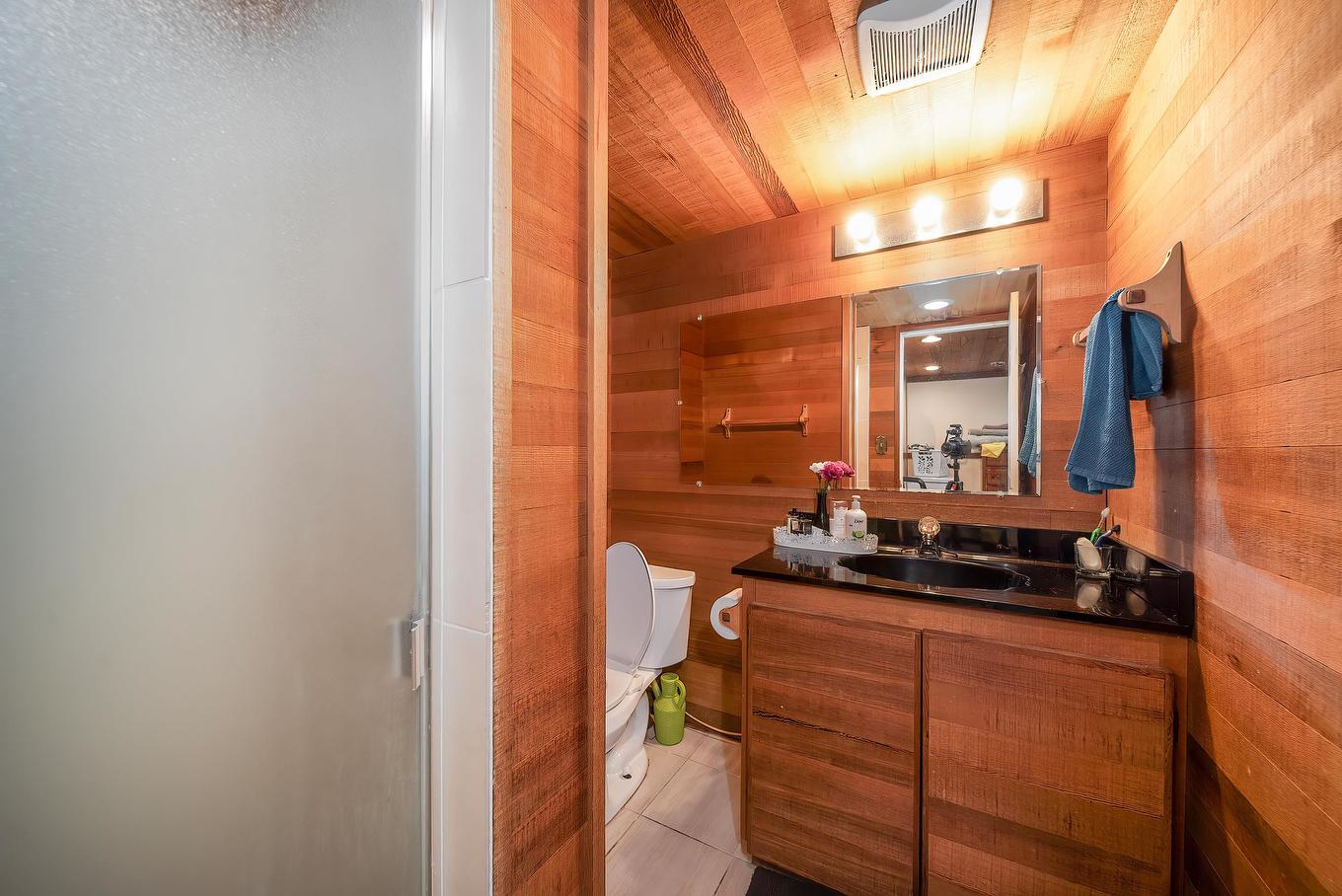 11751 Trumpeter Drive, Richmond, BC