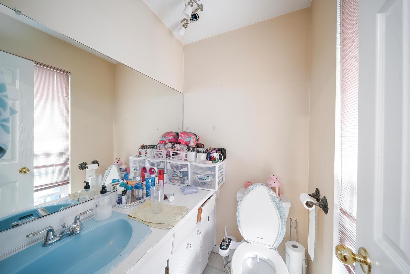 11751 Trumpeter Drive, Richmond, BC