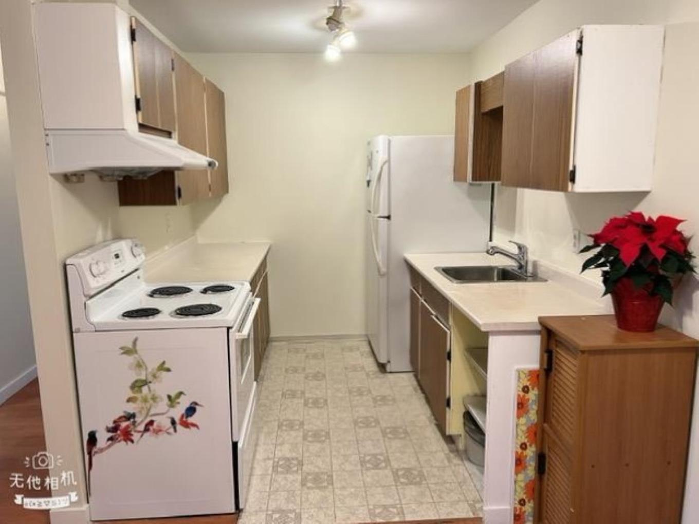 204-7260 Lindsay Road, Richmond, BC