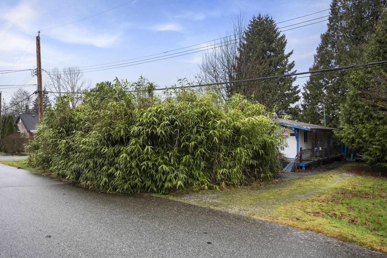 22421 Streng Avenue, Maple Ridge, BC