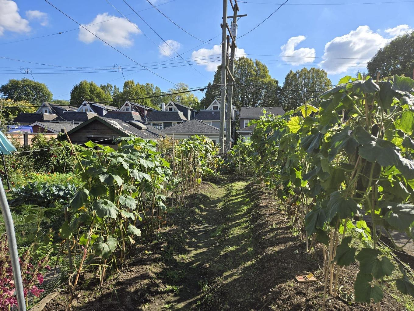 872 Union Street, Vancouver, BC