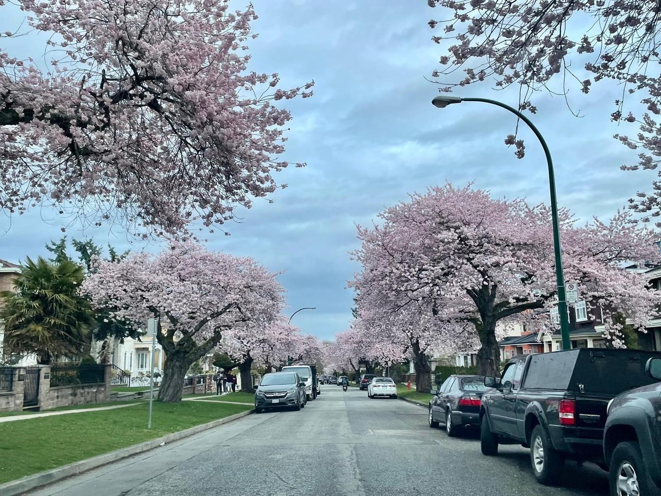 8107 Shaughnessy Street, Vancouver, BC