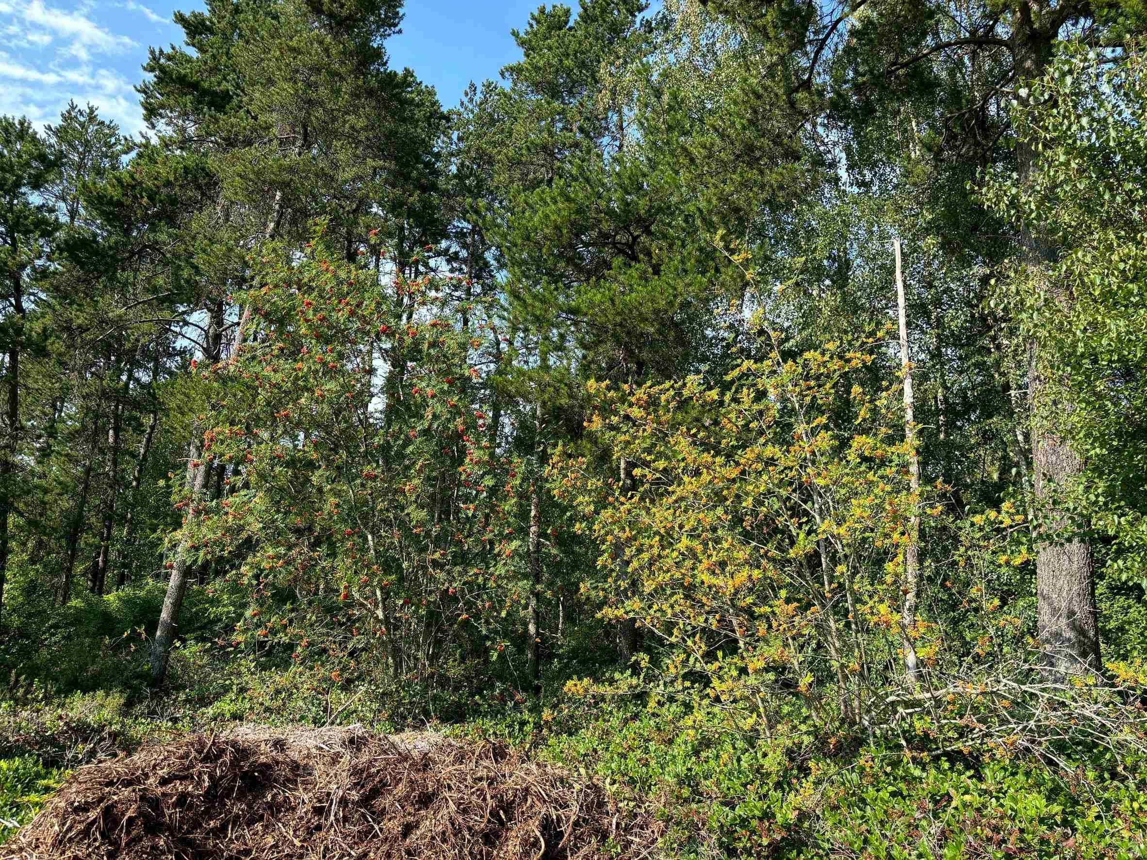 Lot 25 Blundell Road, Richmond, BC