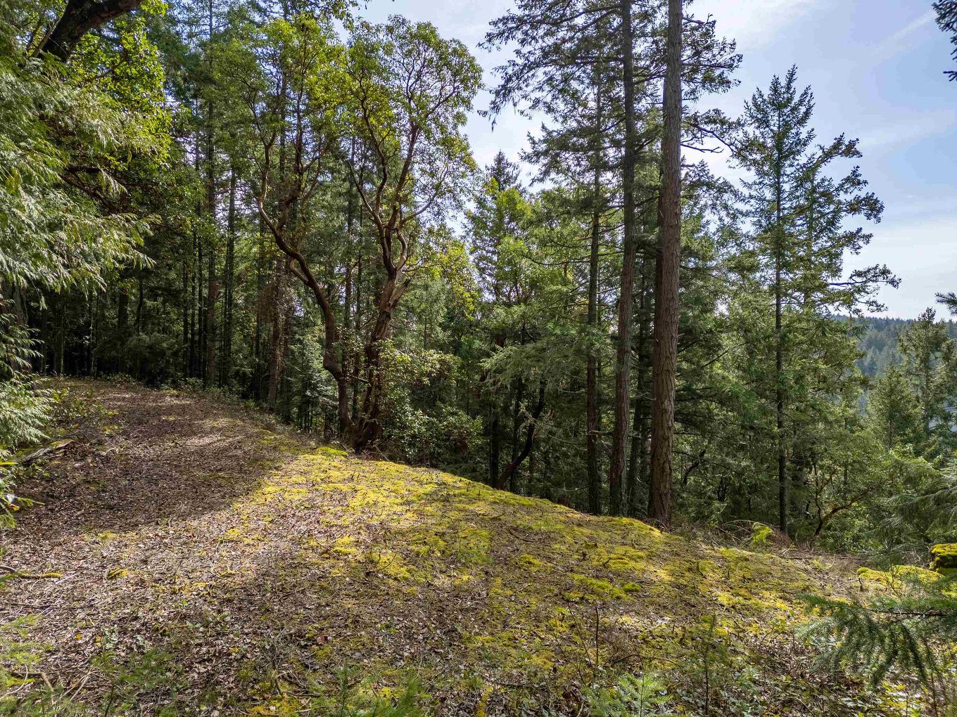 2564 Montague Road, Galiano Island, BC