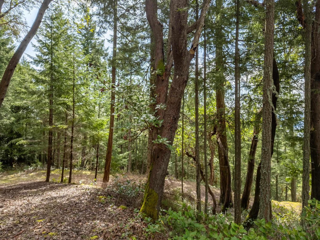 2564 Montague Road, Galiano Island, BC