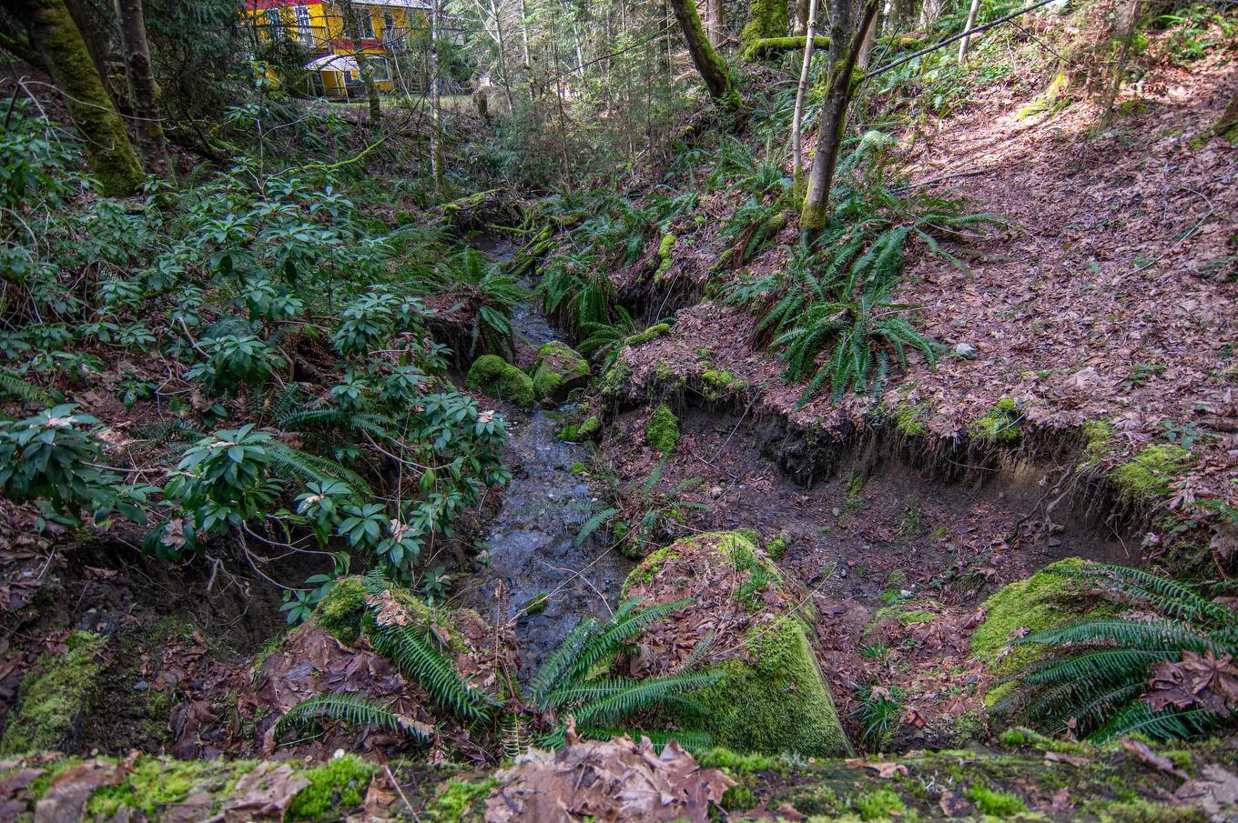 2564 Montague Road, Galiano Island, BC