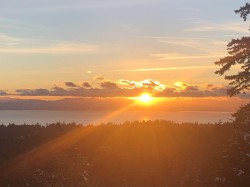 6016 Leaning Tree Road Halfmoon Bay, BC V7Z 1C2