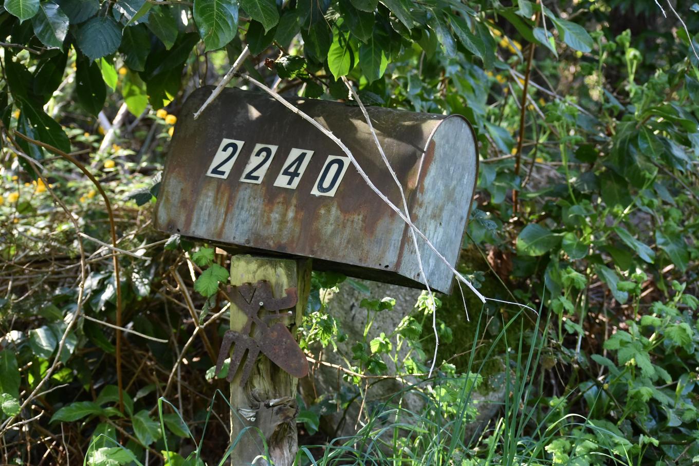 2240 Oldershaw Road, Roberts Creek, BC