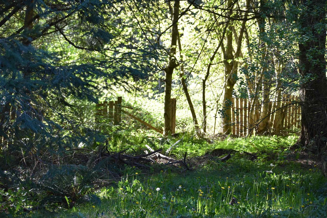 2240 Oldershaw Road, Roberts Creek, BC