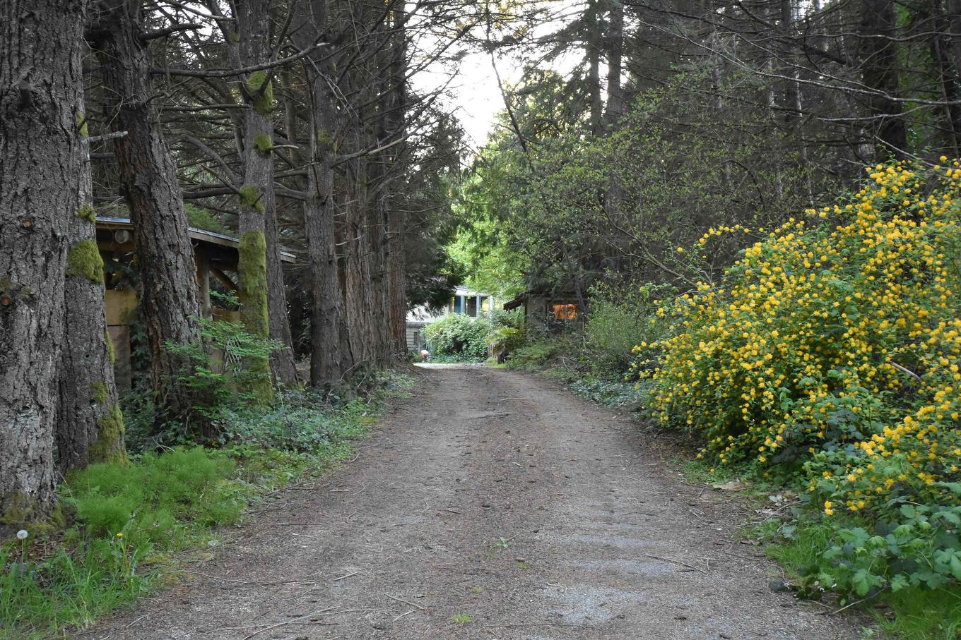 2240 Oldershaw Road, Roberts Creek, BC