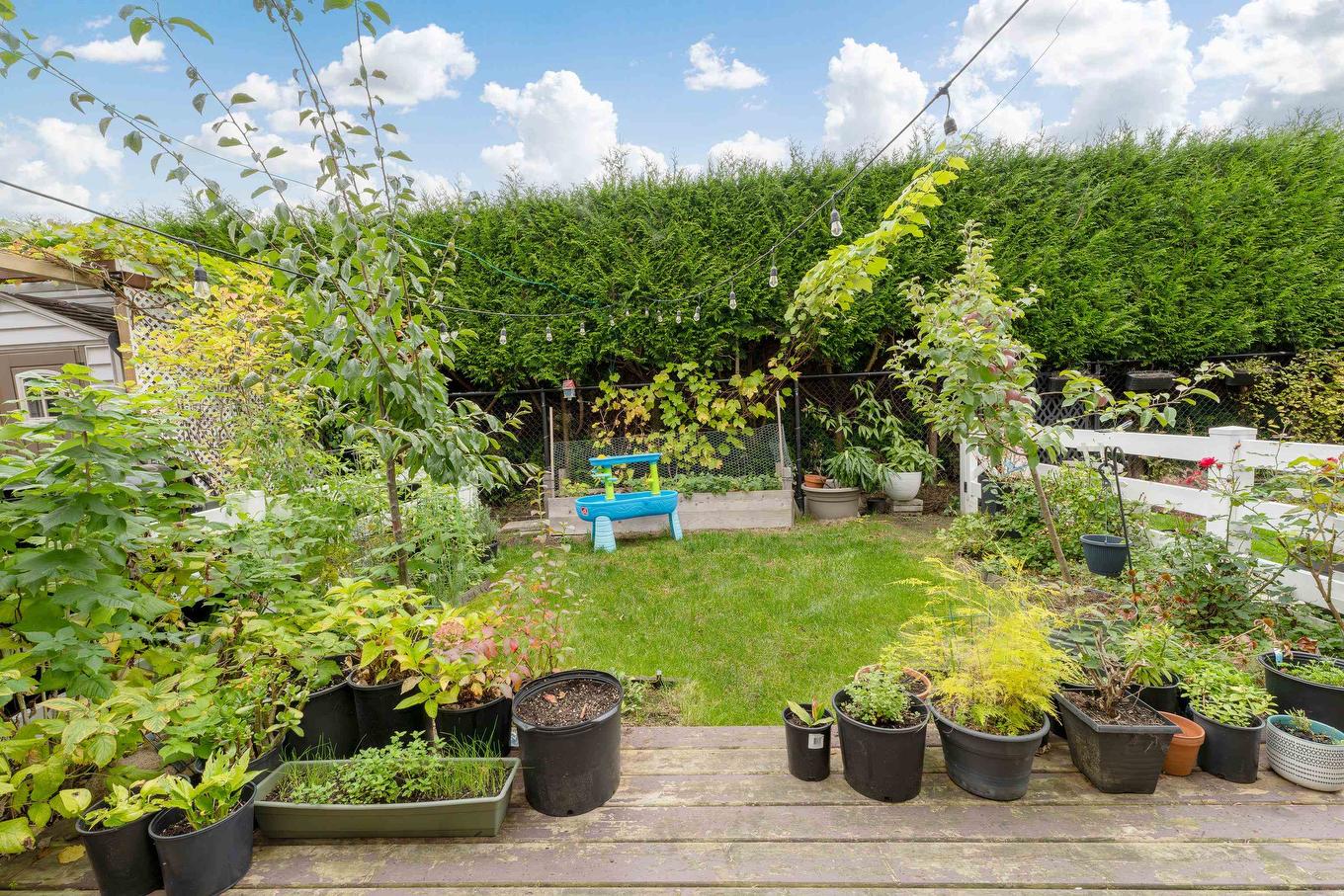 15-23575 119 Avenue, Maple Ridge, BC