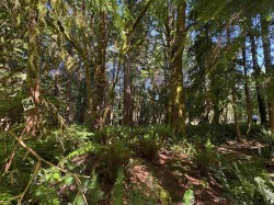 Lot 64-984 West Bay Road Gambier Island, BC V0N 1V0