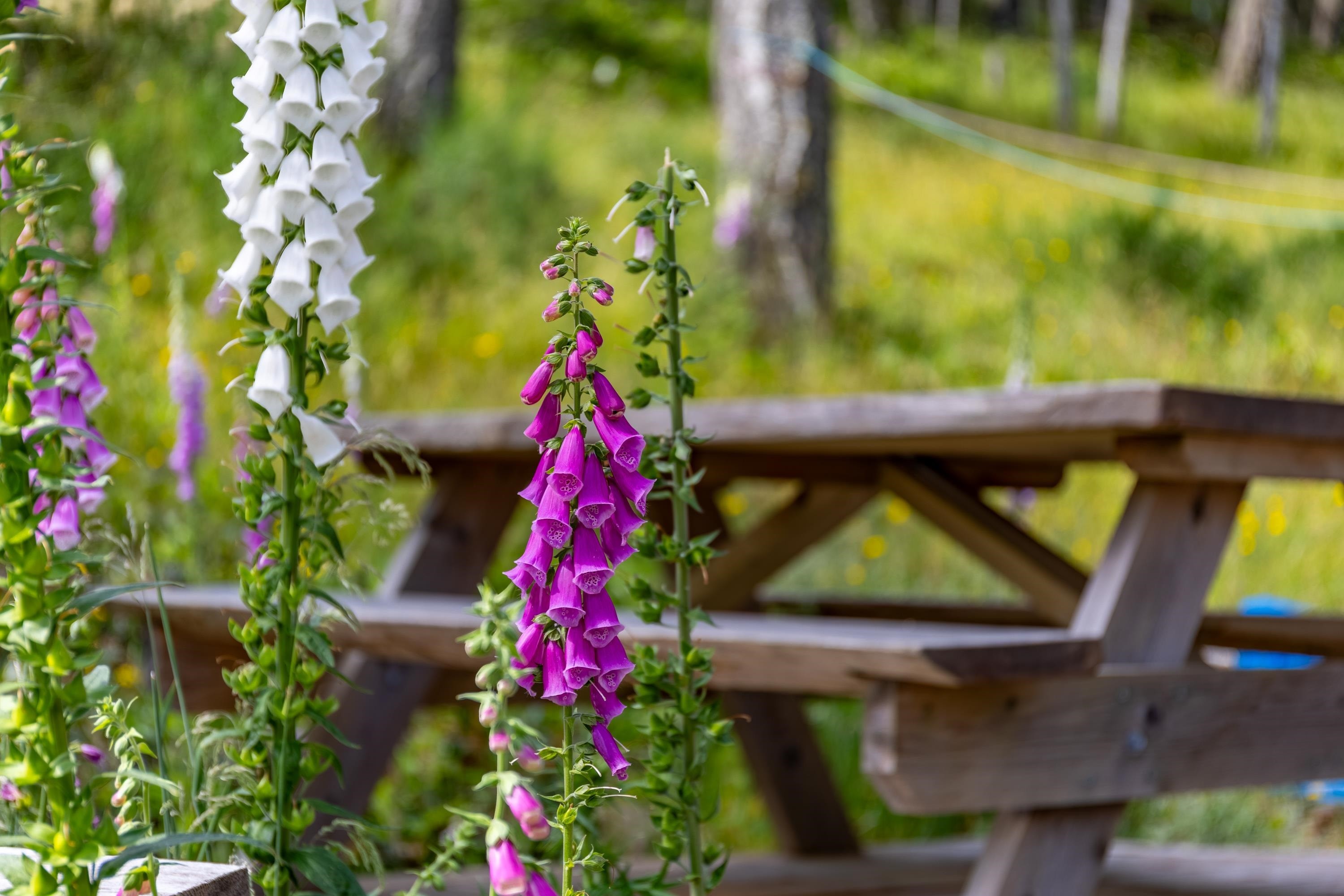 1-861 Bluff Road E, Galiano Island, BC