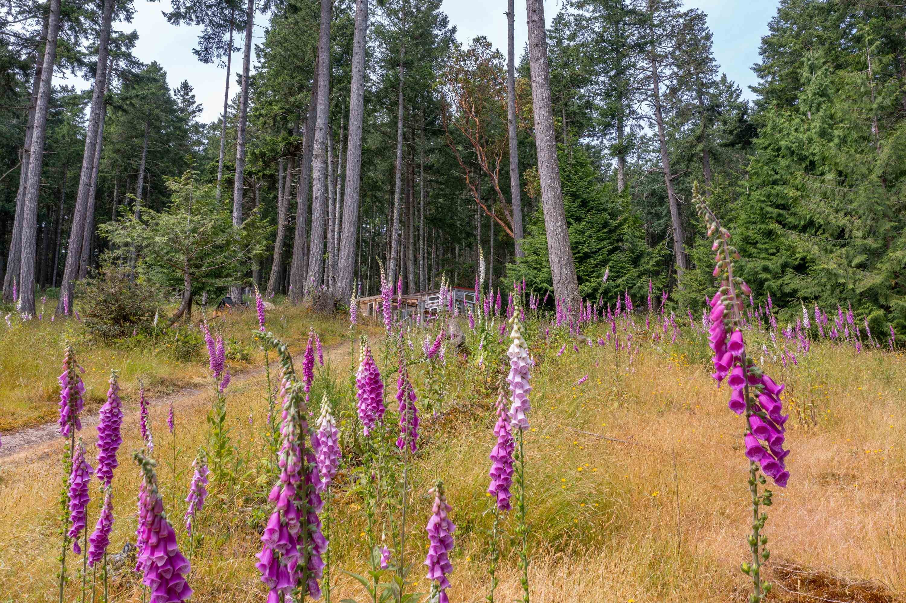 1-861 Bluff Road E, Galiano Island, BC