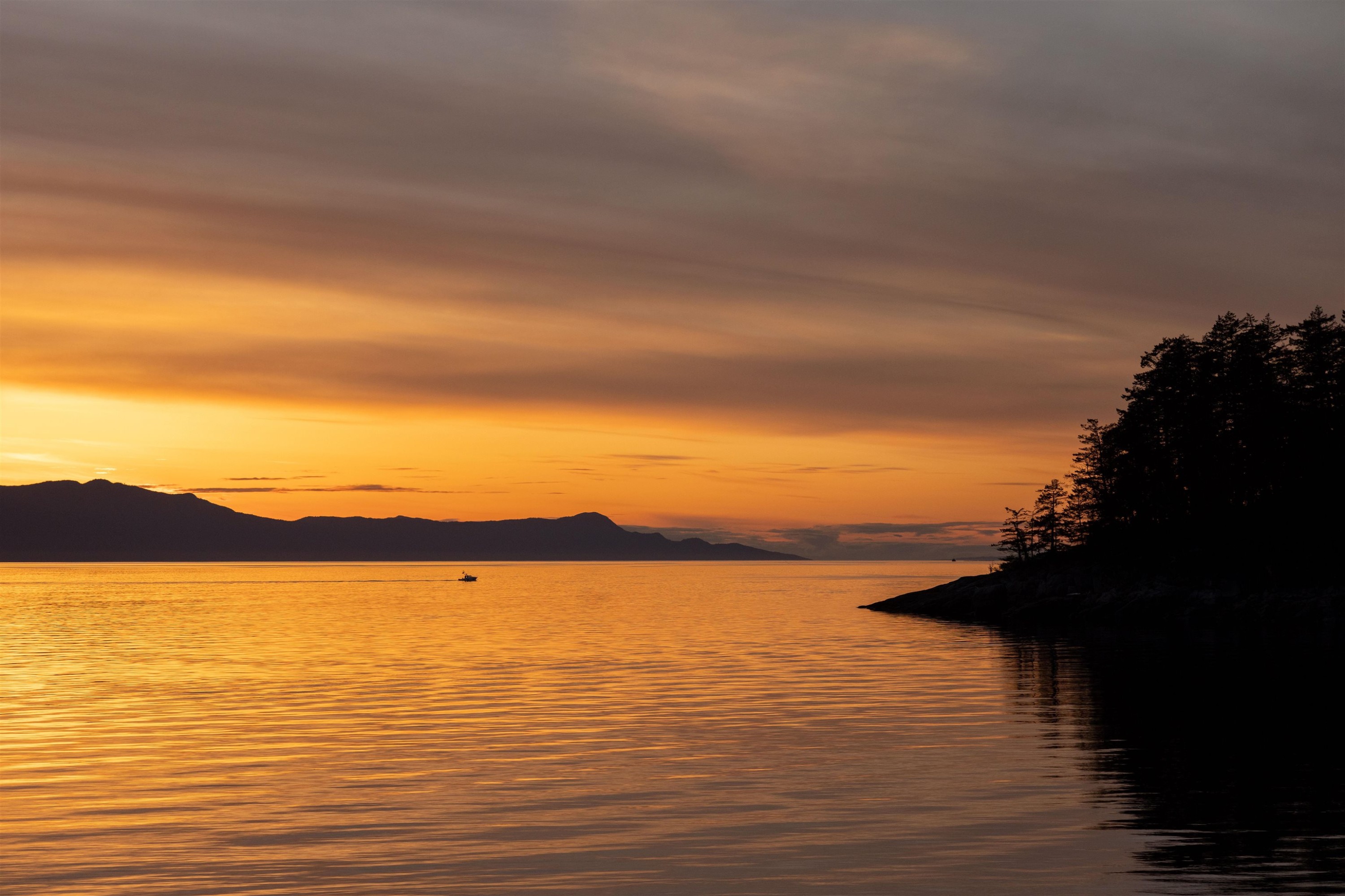 B Turnagain Island, Halfmoon Bay, BC