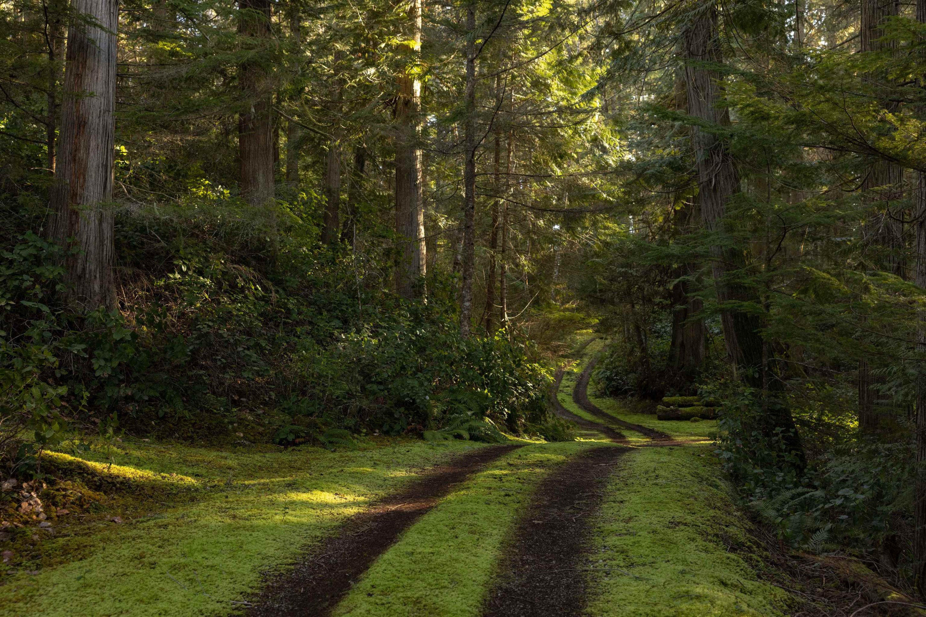 B Turnagain Island, Halfmoon Bay, BC