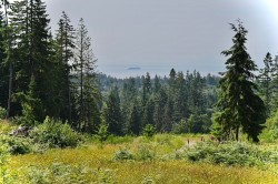 1491 Reed Road Gibsons, BC V0N 1V7