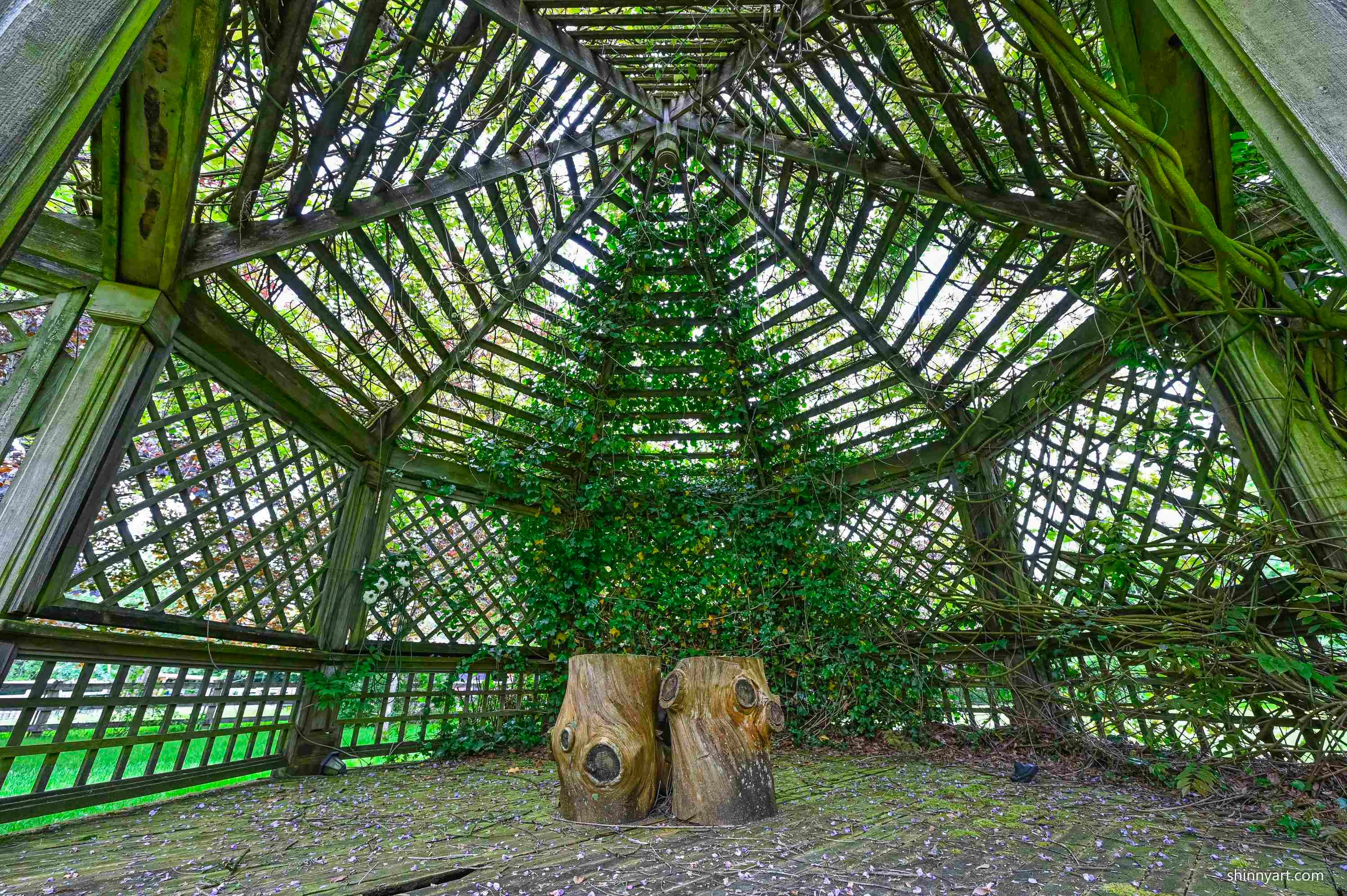 6786 Blenheim Street, Vancouver, BC