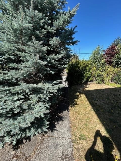 7592 Fraser Street, Vancouver, BC